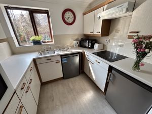 Photo 11- click for photo gallery